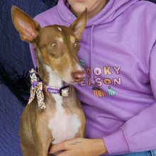 Lade das Bild in den Galerie-Viewer, Hocus Pawcus - Sailor Bow