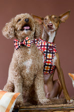 Lade das Bild in den Galerie-Viewer, Autumn Glow - Geschirr