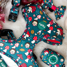 Lade das Bild in den Galerie-Viewer, Happy Shroomy - Geschirr