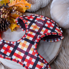 Lade das Bild in den Galerie-Viewer, Autumn Glow - Geschirr