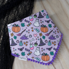 Lade das Bild in den Galerie-Viewer, Hocus Pawcus - Bandana lila