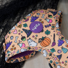 Lade das Bild in den Galerie-Viewer, Hocus Pawcus - Geschirr