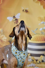 Lade das Bild in den Galerie-Viewer, Honey Bloom- Geschirr