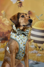 Lade das Bild in den Galerie-Viewer, Honey Bloom- Geschirr