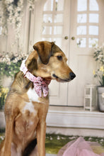 Lade das Bild in den Galerie-Viewer, Enchanted Flutter - Halsband