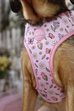 Lade das Bild in den Galerie-Viewer, Enchanted Flutter - Geschirr