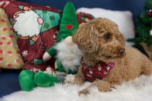 Lade das Bild in den Galerie-Viewer, Naughty and I gnome it - Geschirr