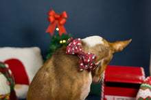 Lade das Bild in den Galerie-Viewer, Naughty and I gnome it - Bow