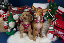 Lade das Bild in den Galerie-Viewer, Naughty and I gnome it - Bow