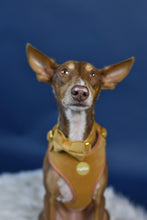 Lade das Bild in den Galerie-Viewer, Be Merry - Geschirr