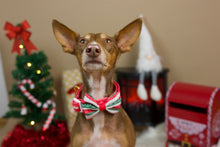 Lade das Bild in den Galerie-Viewer, Oh Deer - Bow