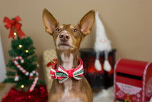 Lade das Bild in den Galerie-Viewer, Oh Deer - Halsband