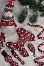 Lade das Bild in den Galerie-Viewer, Naughty and I gnome it - Leine