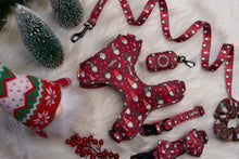 Lade das Bild in den Galerie-Viewer, Naughty and I gnome it - Geschirr