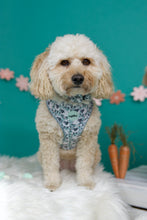 Lade das Bild in den Galerie-Viewer, Bert das Schaf - Geschirr