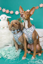 Lade das Bild in den Galerie-Viewer, Bert das Schaf - Geschirr