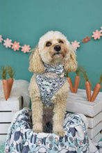 Lade das Bild in den Galerie-Viewer, Bert das Schaf - Bow