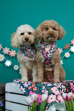 Lade das Bild in den Galerie-Viewer, Flower Field - Geschirr