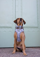 Lade das Bild in den Galerie-Viewer, Bert das Schaf - Geschirr