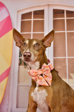 Lade das Bild in den Galerie-Viewer, Summer Crush - Bow / Sailor Bow