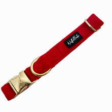 Lade das Bild in den Galerie-Viewer, Wrapped in Love - Halsband