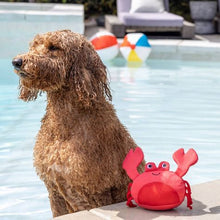 Lade das Bild in den Galerie-Viewer, Claws - Wasserspielzeug