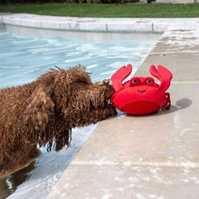 Lade das Bild in den Galerie-Viewer, Claws - Wasserspielzeug