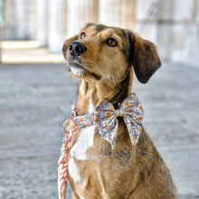 Lade das Bild in den Galerie-Viewer, Spring Bloom - Halsband
