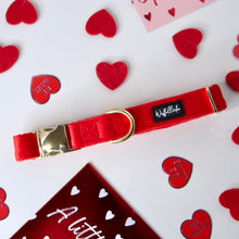Lade das Bild in den Galerie-Viewer, Wrapped in Love - Halsband