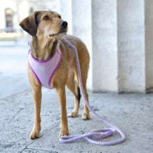 Lade das Bild in den Galerie-Viewer, Lavender Dreams - Geschirr