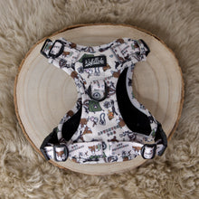 Lade das Bild in den Galerie-Viewer, Adventure Geschirr