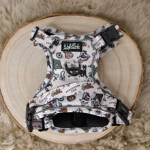 Lade das Bild in den Galerie-Viewer, Adventure Geschirr