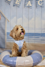 Lade das Bild in den Galerie-Viewer, Coastal Breeze - Geschirr

