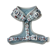 Lade das Bild in den Galerie-Viewer, Pawlar Bear Adventures - Geschirr
