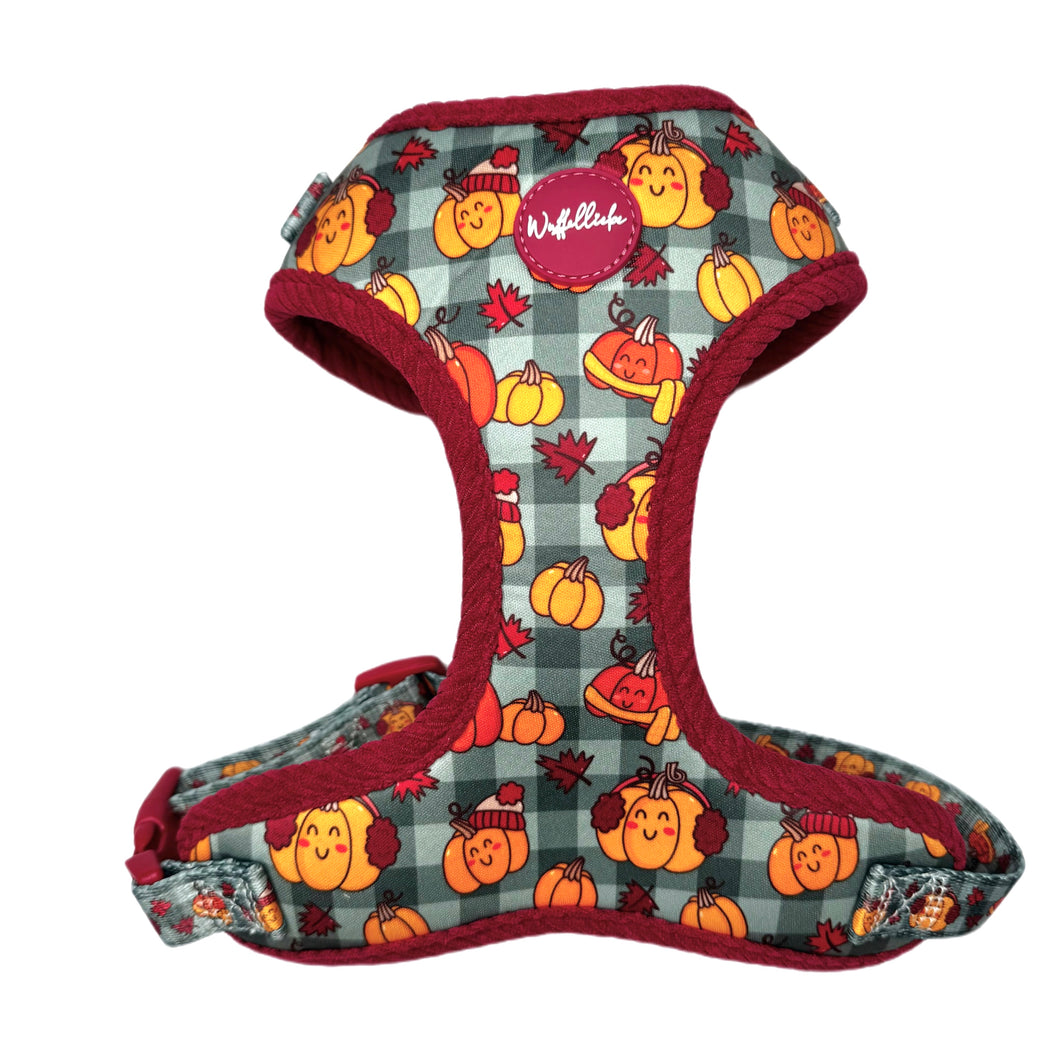 Cosy Pumpkin Patch - Geschirr