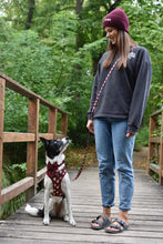 Lade das Bild in den Galerie-Viewer, Owlways Cozy - Leine
