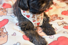 Lade das Bild in den Galerie-Viewer, I love you Beary much - XL Decke
