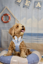 Lade das Bild in den Galerie-Viewer, Coastal Breeze - Bow / Sailor Bow
