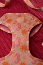 Lade das Bild in den Galerie-Viewer, Summer Crush - Geschirr
