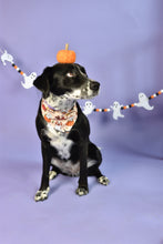 Lade das Bild in den Galerie-Viewer, Spooky Dogs - Bandana
