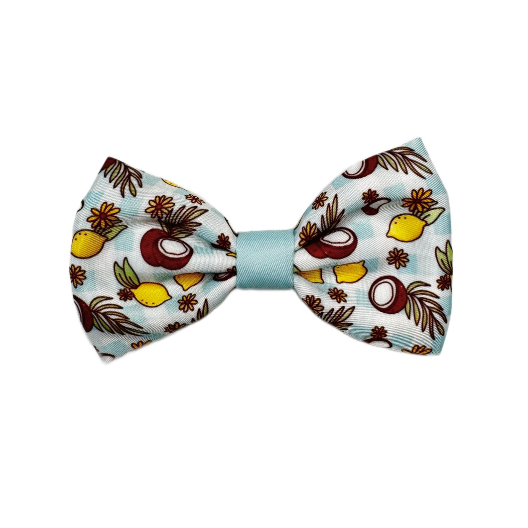 Pawtida de Coco - Bow