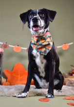 Lade das Bild in den Galerie-Viewer, Cosy Pumpkin Patch - Bandana
