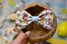 Lade das Bild in den Galerie-Viewer, Pawtida de Coco - Bow
