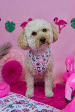 Lade das Bild in den Galerie-Viewer, Lazy Flamingo - Geschirr
