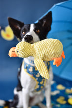 Lade das Bild in den Galerie-Viewer, Ente - Hundespielzeug klein
