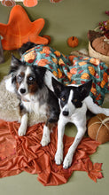 Lade das Bild in den Galerie-Viewer, Cosy Pumpkin Patch - Kuscheldecke
