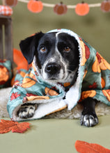 Lade das Bild in den Galerie-Viewer, Cosy Pumpkin Patch - Kuscheldecke
