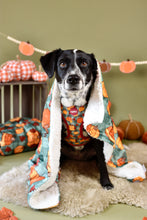 Lade das Bild in den Galerie-Viewer, Cosy Pumpkin Patch - Kuscheldecke

