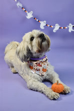 Lade das Bild in den Galerie-Viewer, Spooky Dogs - Bandana

