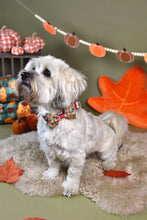 Lade das Bild in den Galerie-Viewer, Cosy Pumpkin Patch - Bow
